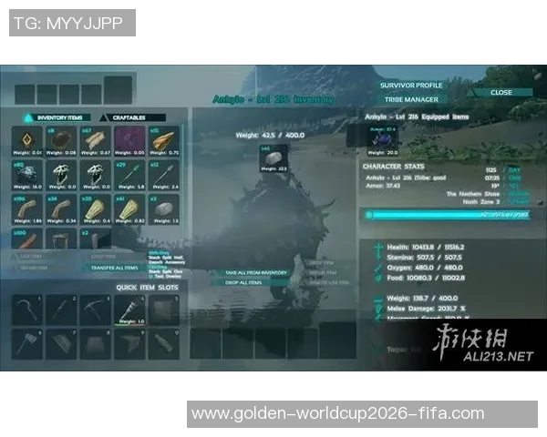 获取自由足球cdkey的最佳途径与使用技巧分享